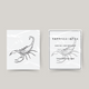 Temporary tattoo scorpion